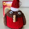 Robin Chocolate Orange Cover